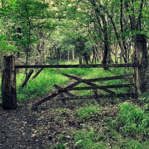 The gate just about hangs, but not well.