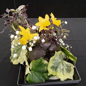 Mannings Heath & District Horticultural Society Photo Gallery