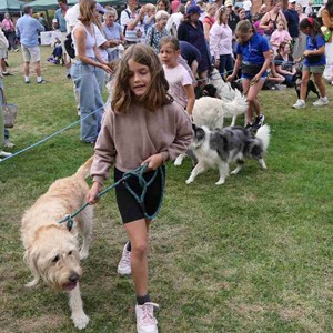Goodworth Clatford Parish Council  Fete 2026 photos