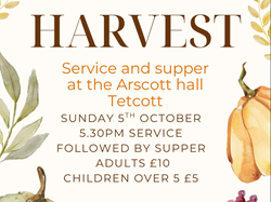 Tetcott, Church of the Holy Cross 2025 aug - dec