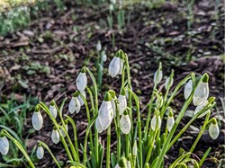 The Old Laundry @ Hall Waberthwaite Photographs