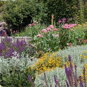 Friends of Meads Parks and Gardens Gallery