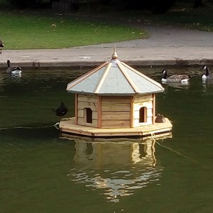 Duck House Rowntree Park
