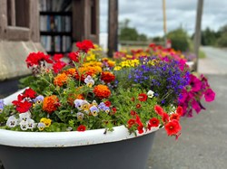 Ightfield Parish Council Calverhall in Bloom