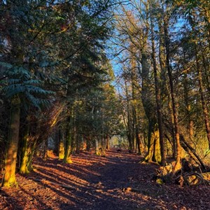 Newton on the Moor & Swarland Parish Council GALLERY