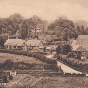 Beech near Alton ~ Postmarked 08.07.1929