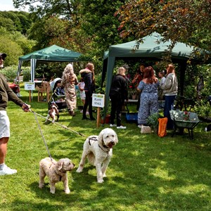 Berwick St James Parish Berwick Village Fayre - 8th June 2025