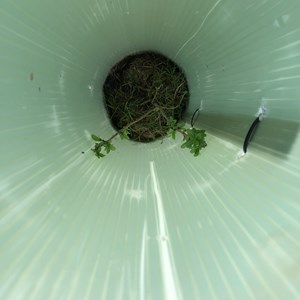 Asenby Parish Council The Community Park