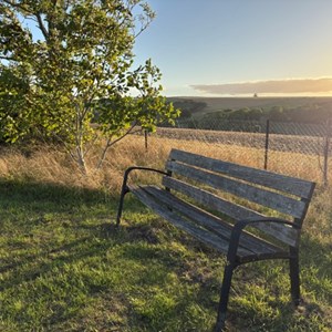 Coombe Bissett downs from the cricket field