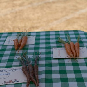 HBT Horticultural Society Photographs 2026