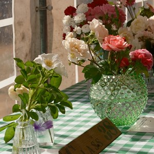 HBT Horticultural Society Photographs 2026