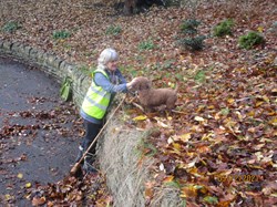 Jane and Saffy clearing leaves Dec 2021