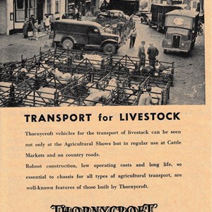 Thornycroft used an image of the Market Square in this advert from July 1955