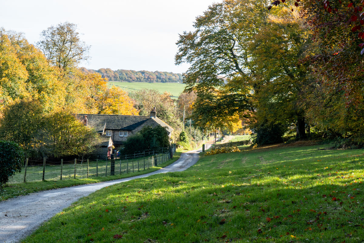 View on Huthwaite Lane