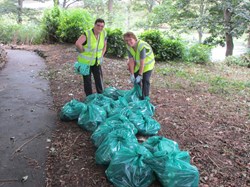 Seventeen bags of rubbish from the recently strimmed area below Londesborough Lodge.