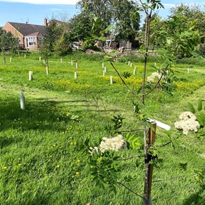 Asenby Parish Council The Community Park