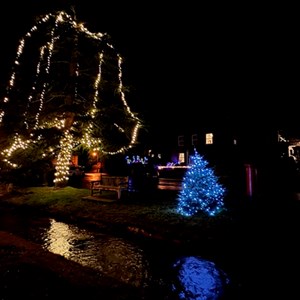 Christmas Lights by the Beck 2025