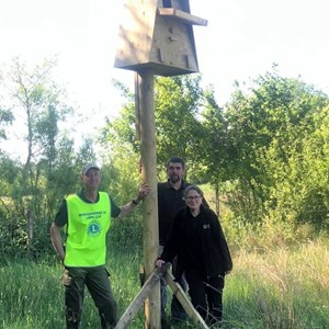 Dunsforth Carrs Owl Box