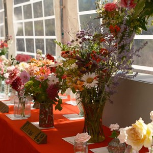 HBT Horticultural Society Photographs 2026