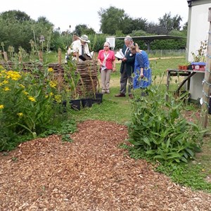 Judges from the East Anglia in Bloom looking at the work we do. GST got a special mention in their final report.