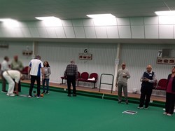 Golden Lotus Coaching