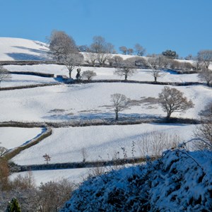 Dalwood Parish Council Home