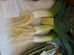 2016 Flower and Produce Show