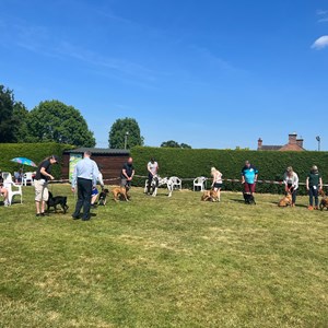 Whixall Social Centre Whixall Dog Show 2023 Report and Phots
