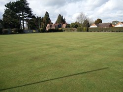 The green looking good ...!