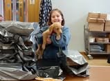 Wormhout Community Hub OPERATION WELLY