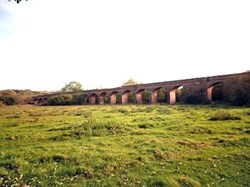 Hockley viaduct – a 32 arched structure across the River Itchen fell into disrepair, was to be used as a demolition exercise by the Royal Engineers; locals contacted them and it still stands. ©PJ