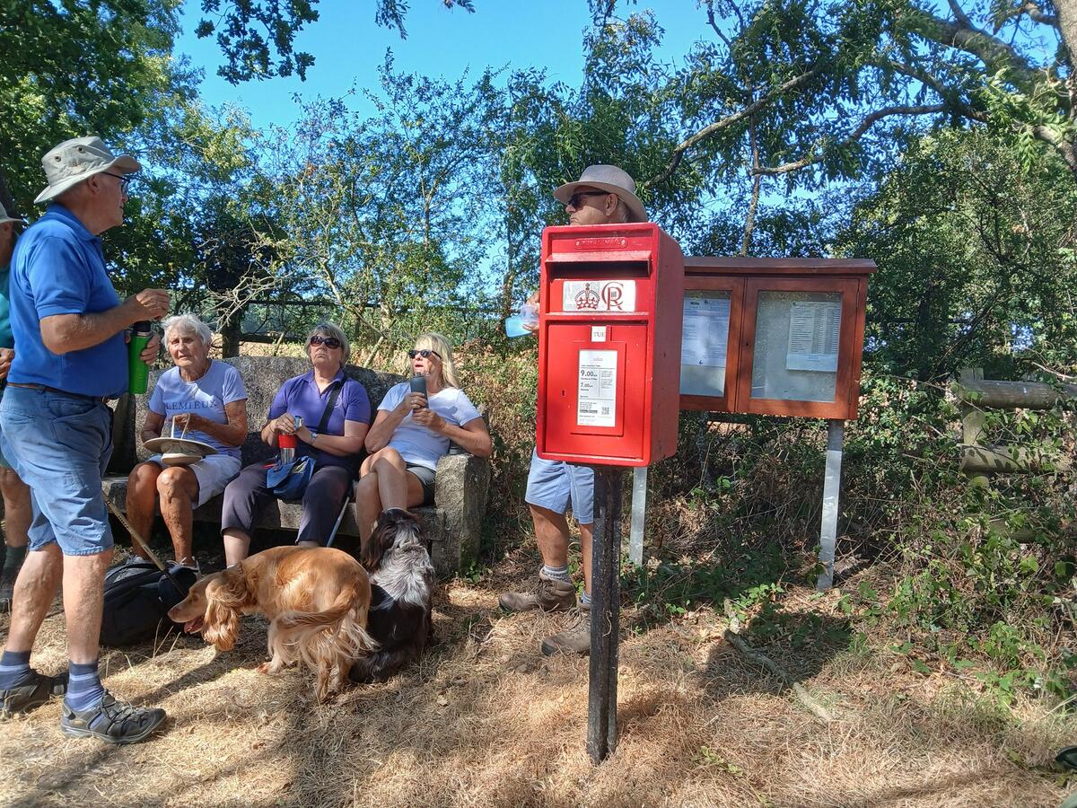 Martinstown Village Hall Walk Reports 2026/1