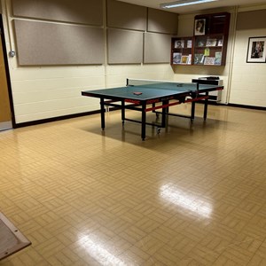 Annual Assembly of the Parish 2026 - Table Tennis Table financed by the Parish Council