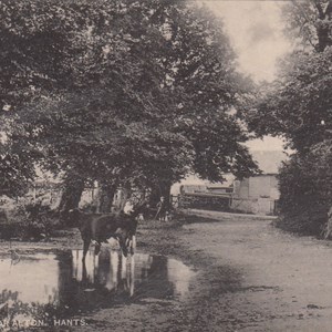 Postmarked 28.8.1906 (We believe this was taken by the pond that was in Church Road and the building is a house called Tylers. The gate is now the entrance to Parsonage Close)