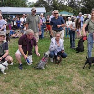 Goodworth Clatford Parish Council  Fete 2026 photos