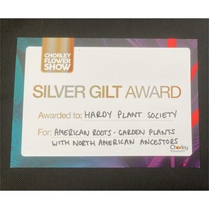 Silver Gilt Award Cerificate