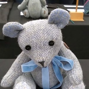 Mannings Heath & District Horticultural Society Summer Show 2025