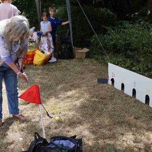Goodworth Clatford Parish Council  Fete 2026 photos