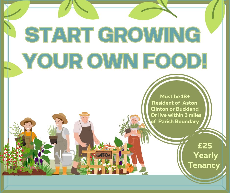 Allotment advert