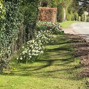 Moston Parish Council Parish Pics