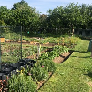 Hoo St Werburgh and Chattenden Parish Council Parish Allotments