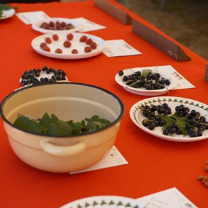 HBT Horticultural Society Photographs 2026