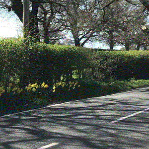 Moston Parish Council Parish Pics