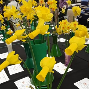 Mannings Heath & District Horticultural Society Photo Gallery