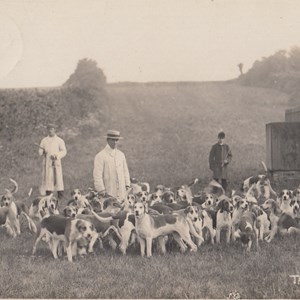 The Hounds - Postmarked 06.07.1906