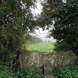 Buckland Dinham Village Businesses