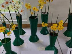 Bucklebury and Marlston Horticultural Society Spring Show Report 2026