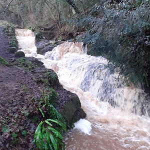 Badger Parish Council History