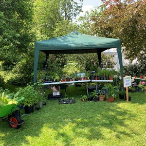 Berwick St James Parish Berwick Village Fayre - 8th June 2025