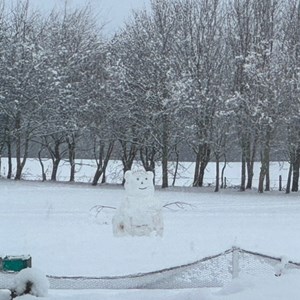 Plenty Of Snow For Snowmen-January 2025